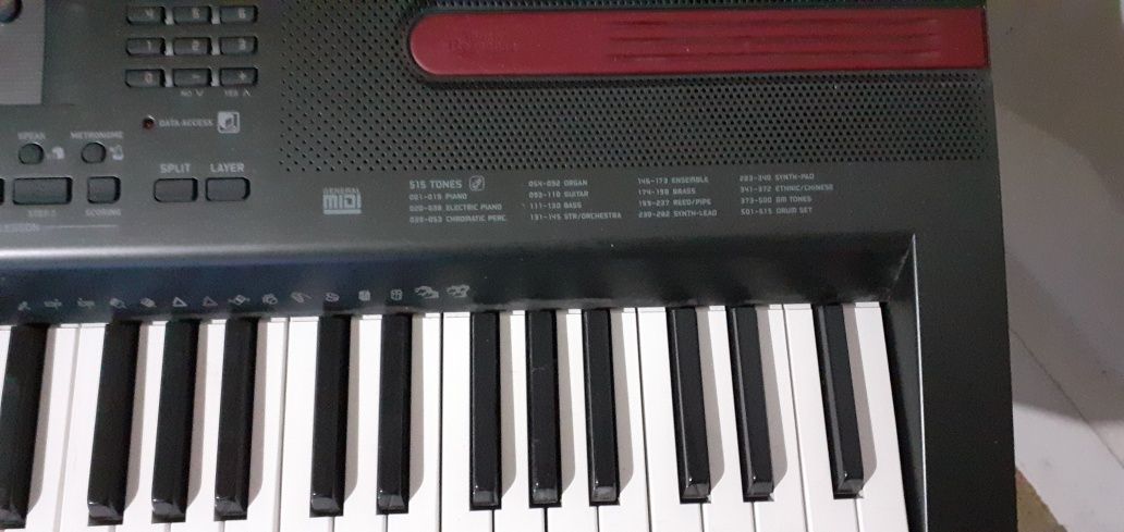 Vind casio la 160 euro bine intretretinut 5 octave