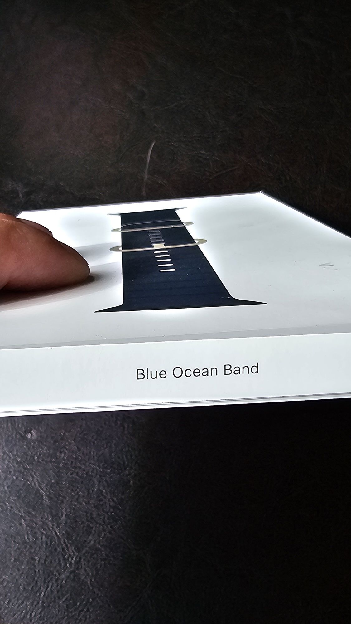 Curea originala Apple Blue Ocean Band, 49 mm, one size sigilata.