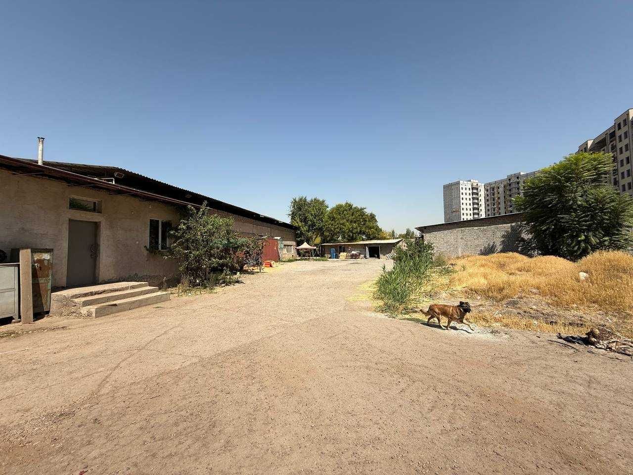 (Добрый) парк Галаба, 500 м², Складские помещение