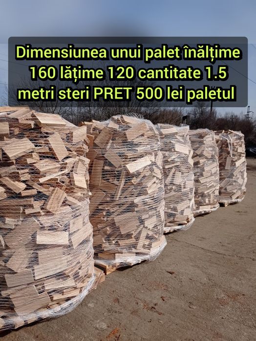 Lemne de foc din esență tare fag cer