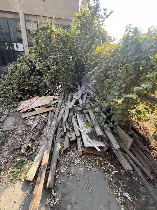 Eski reka va oʻtinlar