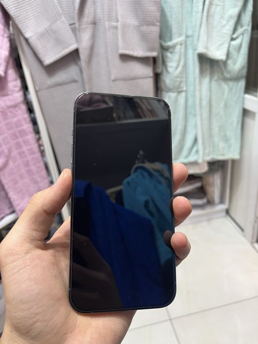 iphone 13 pro max ideal