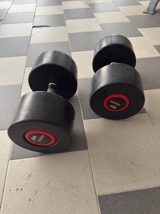 Set gantere 46 kg