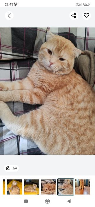 Пишик бар бесплатнооо