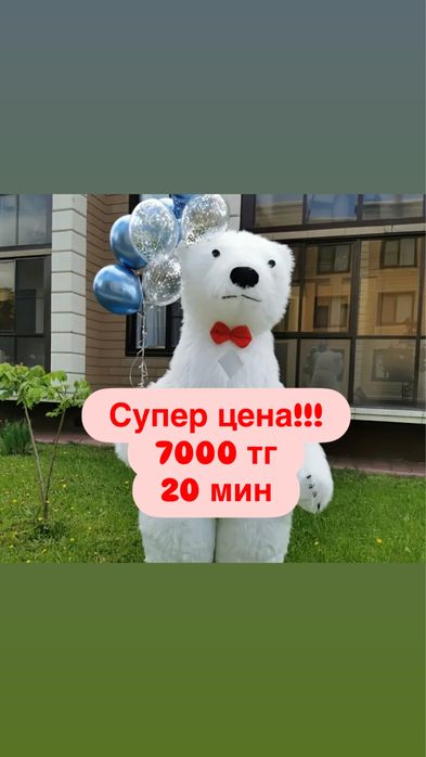 Аниматоры аренда костюма Чебурашка Белый медведь Поздравление