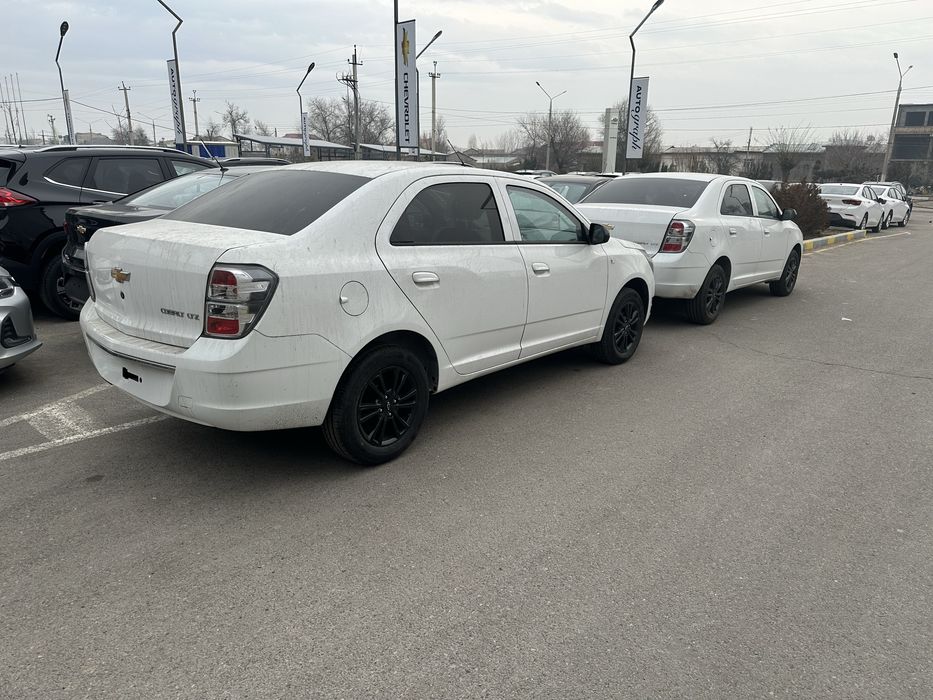 Cobalt midnayt  MCM 2026‼️