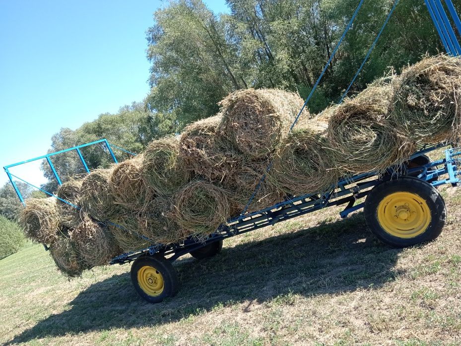 Balotii de lucernă de vânzare