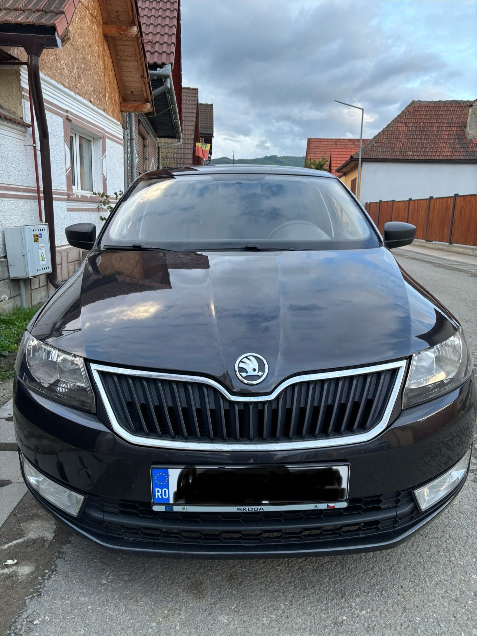 Skoda rapid 2013