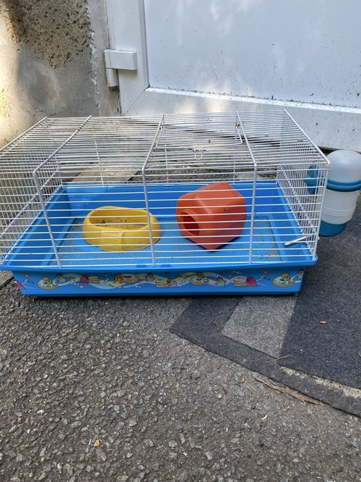 Cușcă hamster pitici