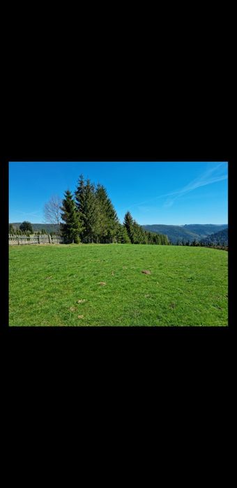 Teren de Vânzare RIȘCA