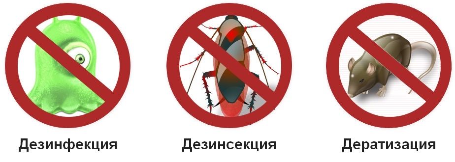 Дезинсекция дезинфекция дератизация срочный выезд гарантия качества