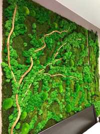 Искусственный озеленение  мох фтостена растения суний гулар
