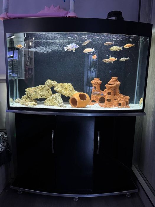 Продается аквариум с подставкой.