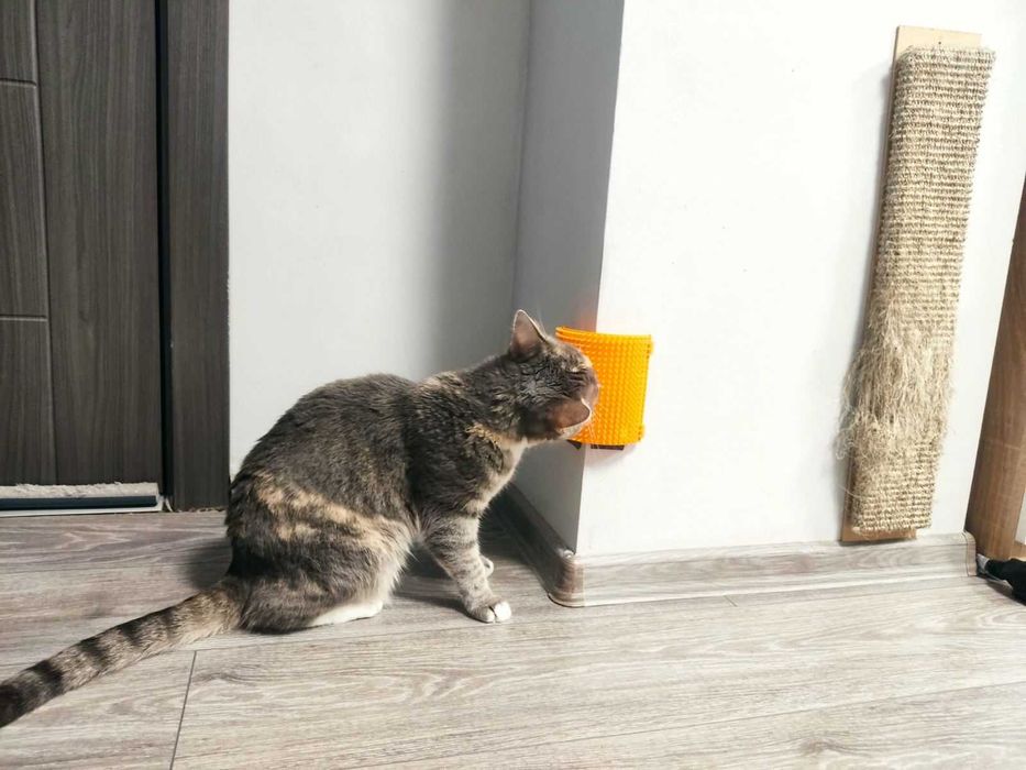 Чесалка за котки