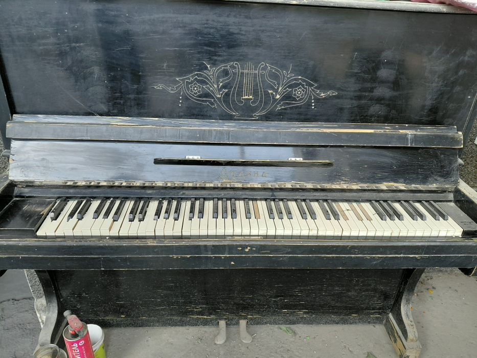 Пионина 2 шт советские