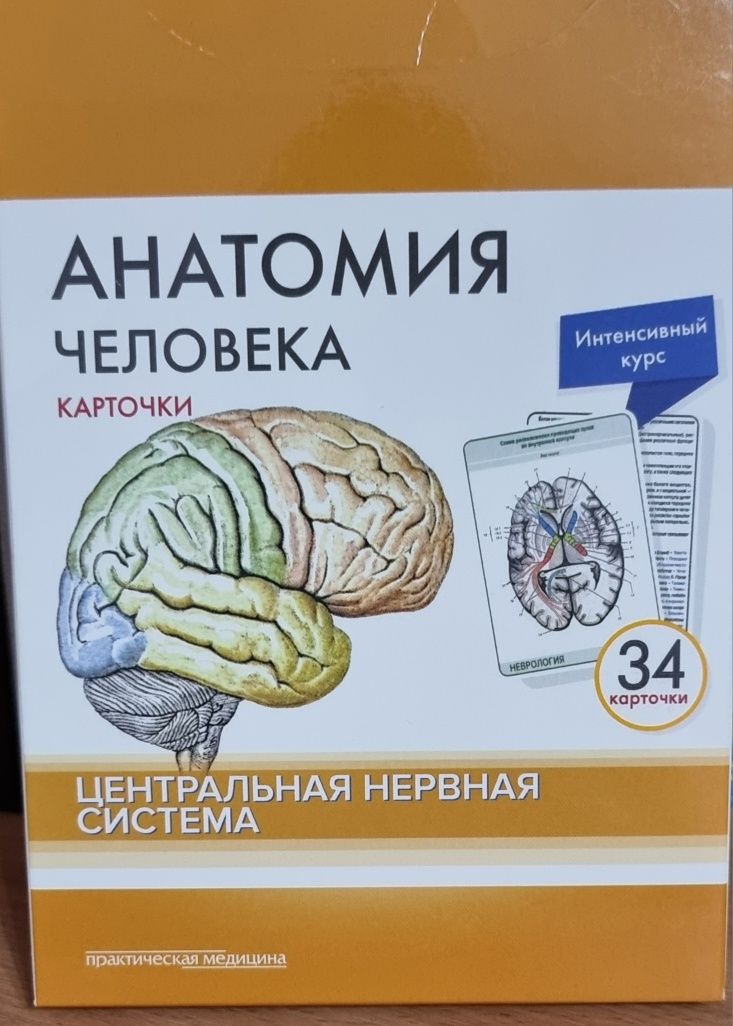 Карточки по анатомии человека