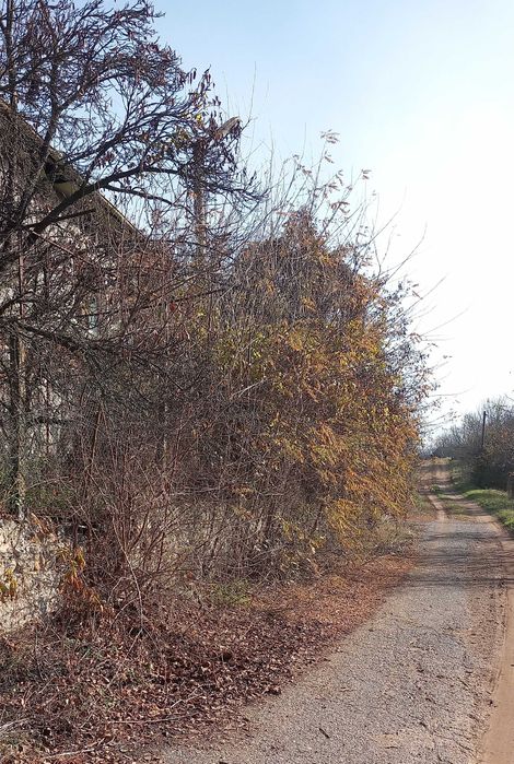 Продава се Къща в с. Долна Гращица, Област Кюстендил - 120 кв.м за 123 €/кв.м - Снимка #7