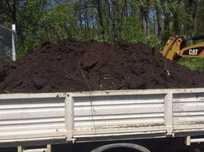 Pamant negru vegetal