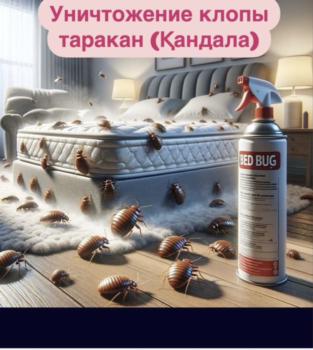 Дезинфекция против клопы ,тараканы,термиты