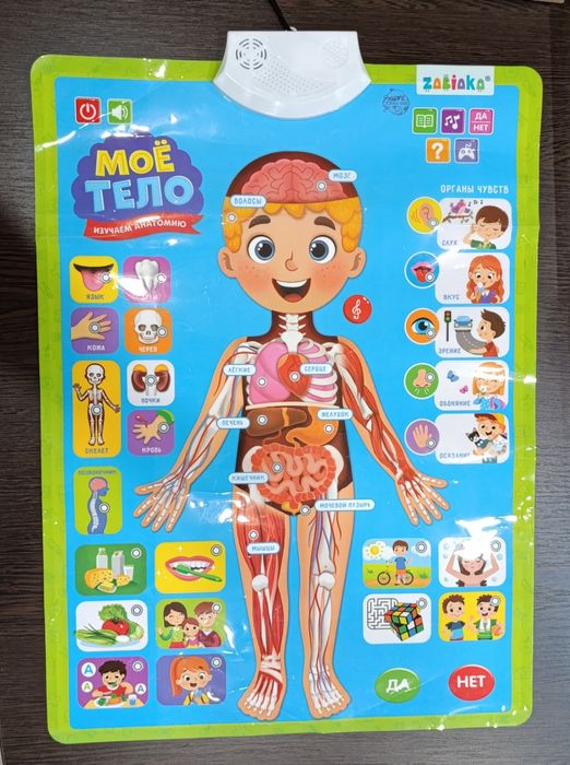 Говорящий плакат электронный