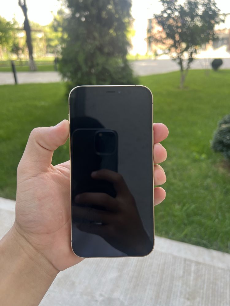 Iphone 12 pro gold