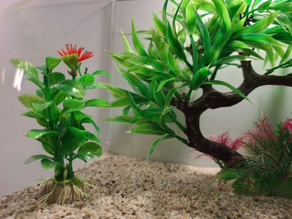 Acvariu sticla curbat complet