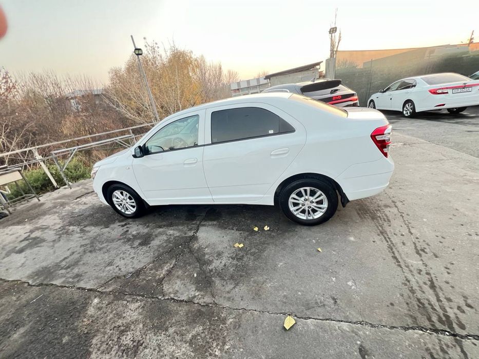 Coblt 2023 avtamat oq