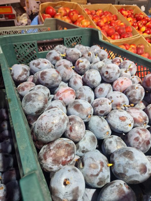 Prune pentru țuică