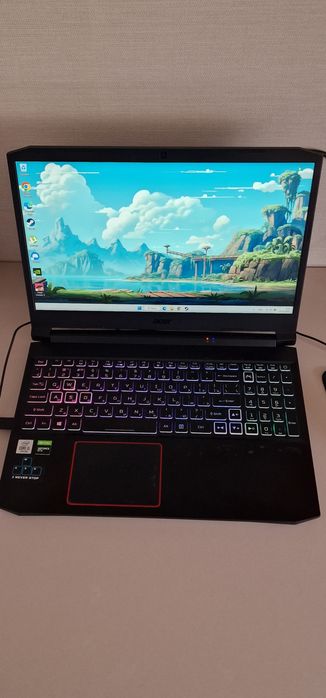 Acer Nitro 5 1660ti