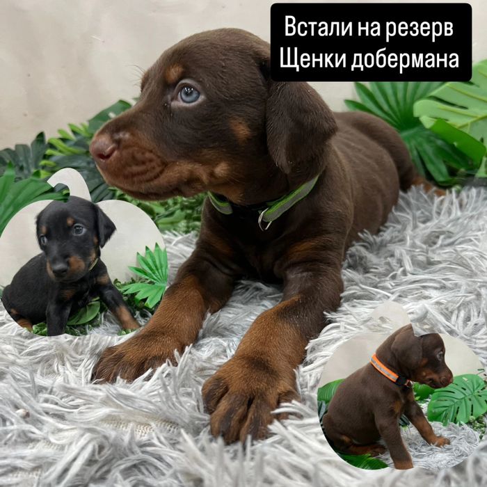 Готовы к переезду в новый дом