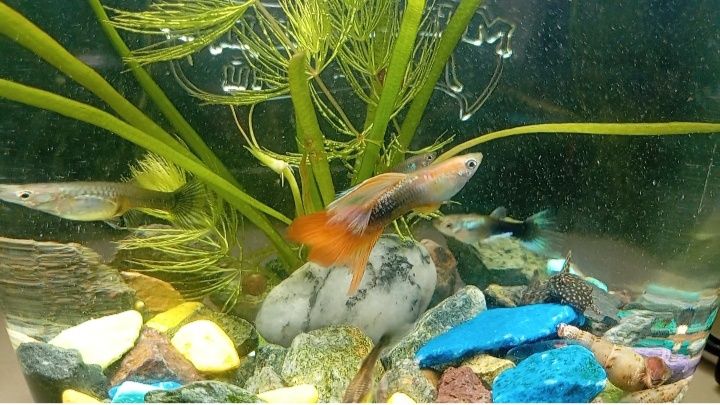 Продам бокс все как на фото