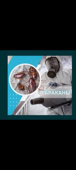 Түркістан қ.дезинфекция .таракан .қандала