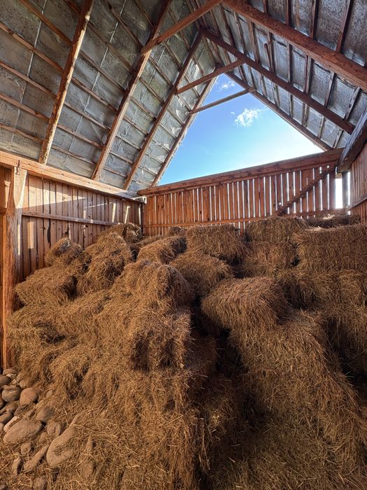 Vand 100 de baloti de otava