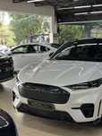 Ford Mustang Mach-E Gt Performance  2022г