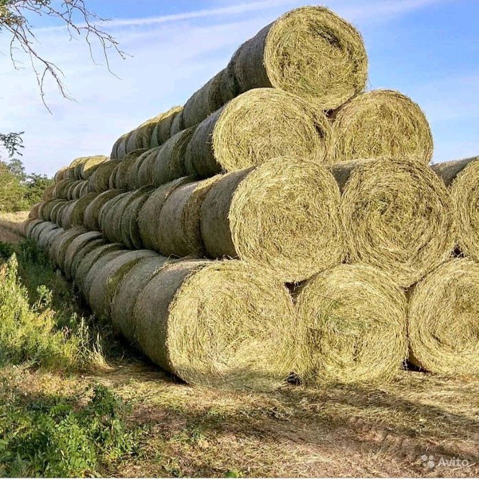 Продам рулоны и тюки сена