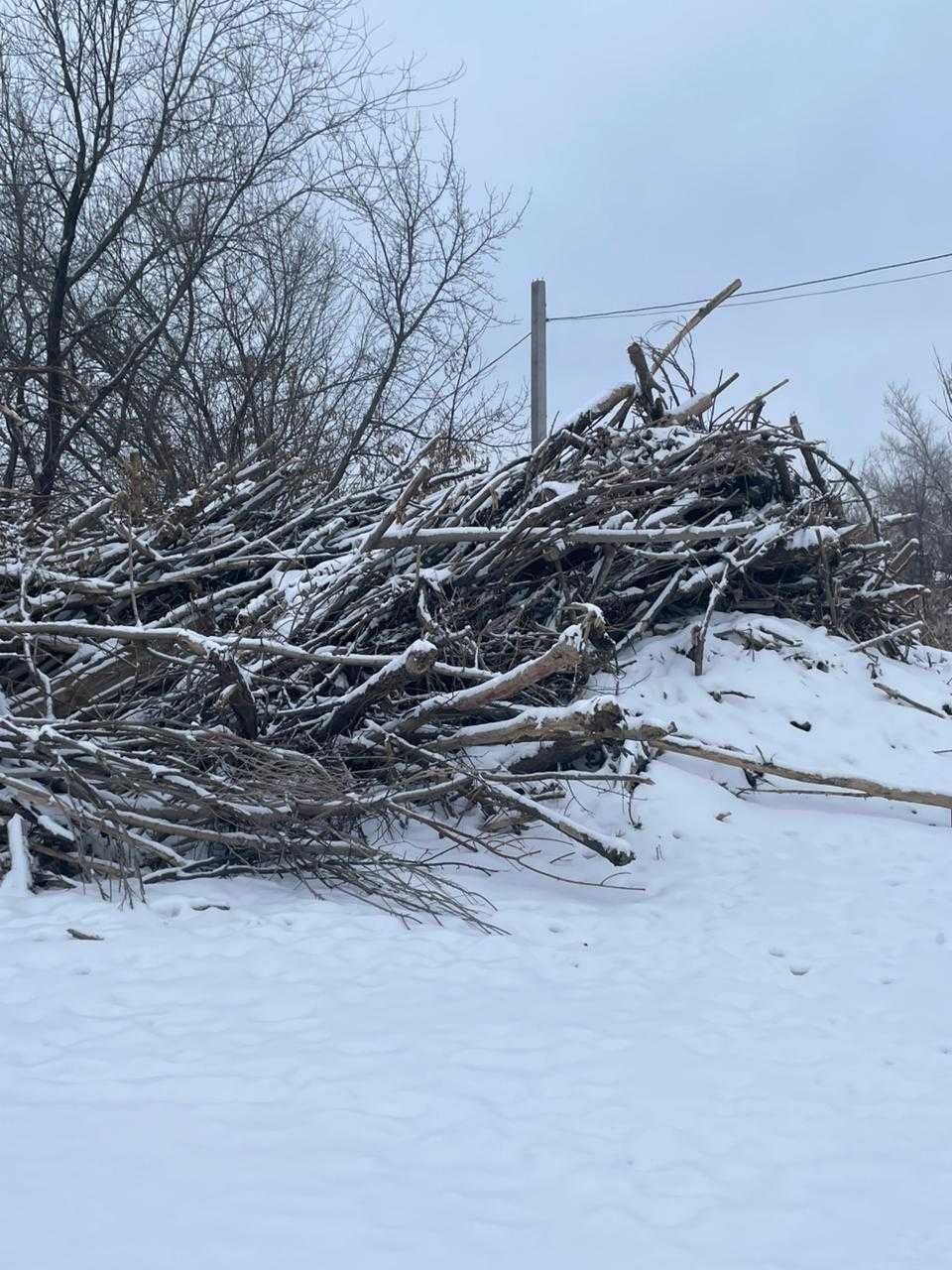 отдам Дрова даром