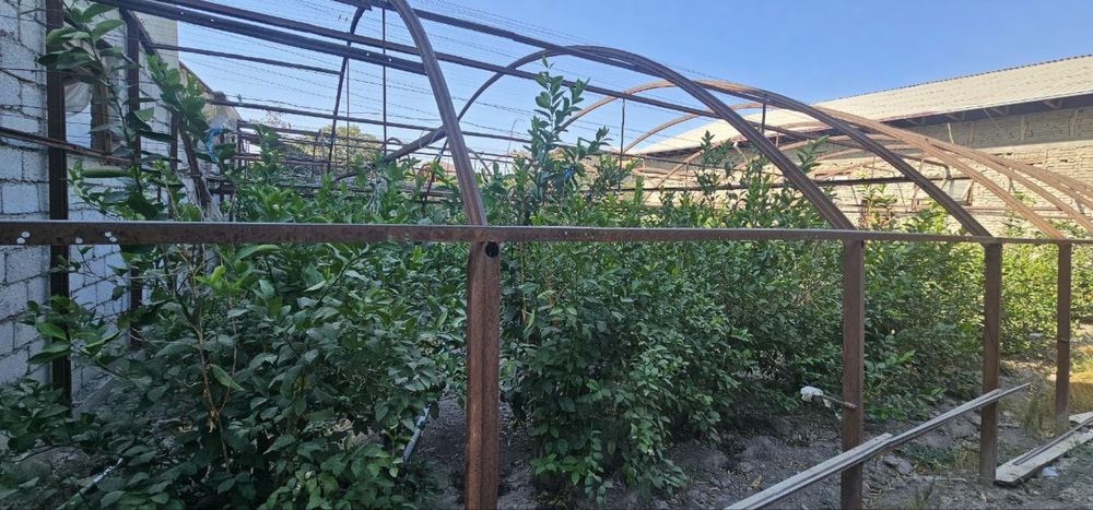 Теплица сотилади