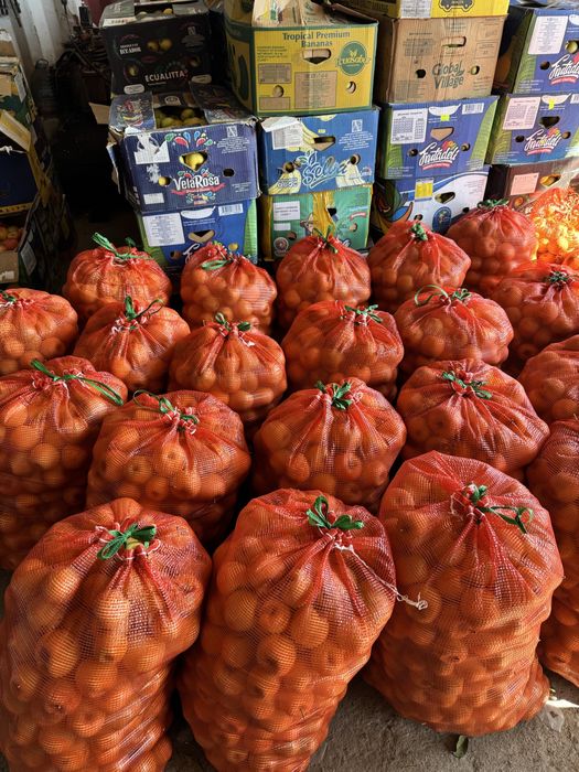Продам яблоки оптом и мешком