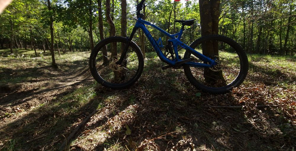 Canyon strive al 6 2019