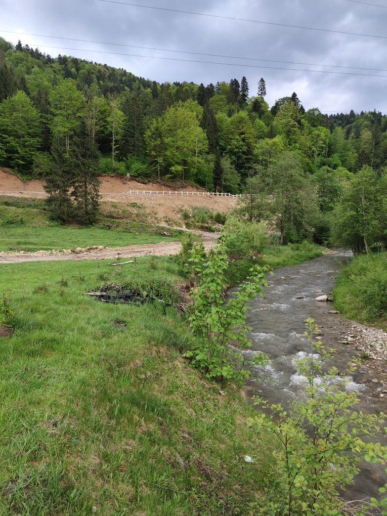 Teren intravilan Timișul de Jos DN1