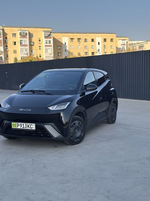 Byd seagull 305 km toza