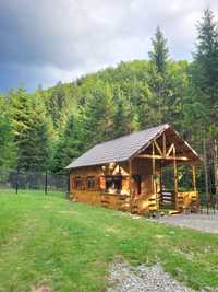 Cabana la munte, pe Valea Moasei, în apropiere de Sibiu