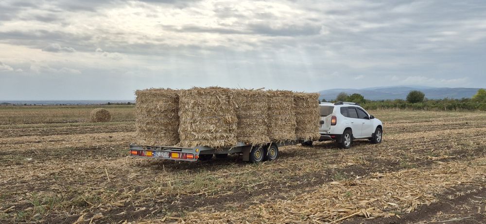 Baloti paie de grâu, de ierburi, de iarba de sudan/maturi. Producator.