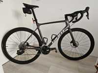 Cursiera Giant TCR