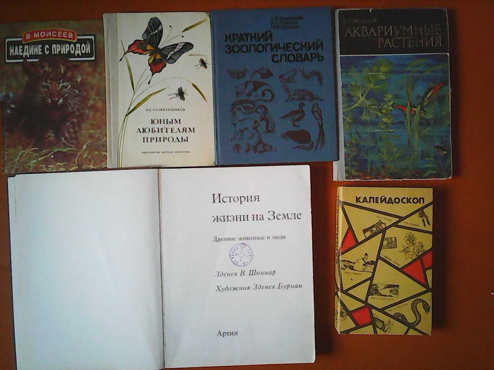 Подарочные экземпляры книг - новые познавательные и кулинарные.