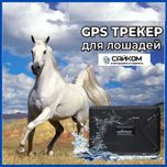 GPS для Лошадей Малга ЖПС без Абонентской платы Доставка в ШЫМКЕНТ