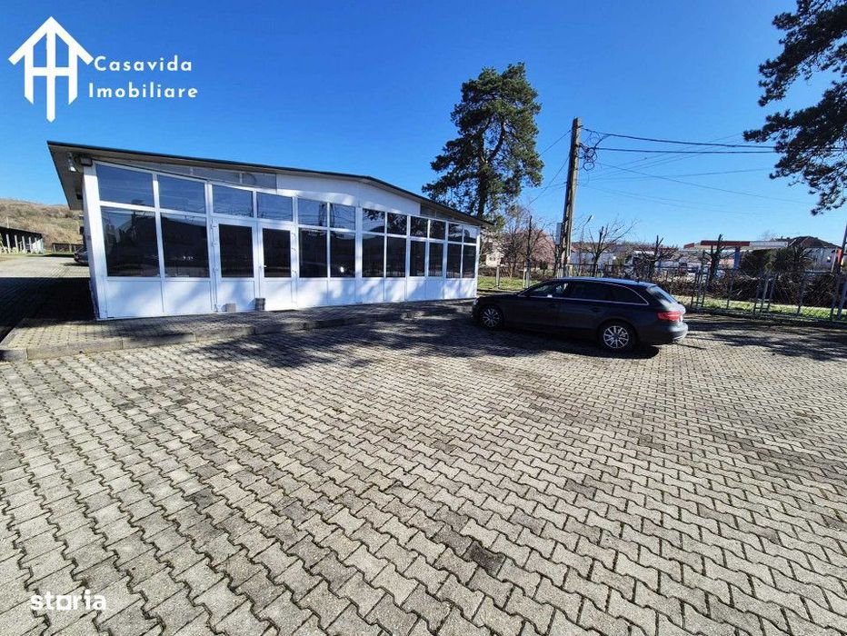 De inchiriat hale si showroom in Lugoj