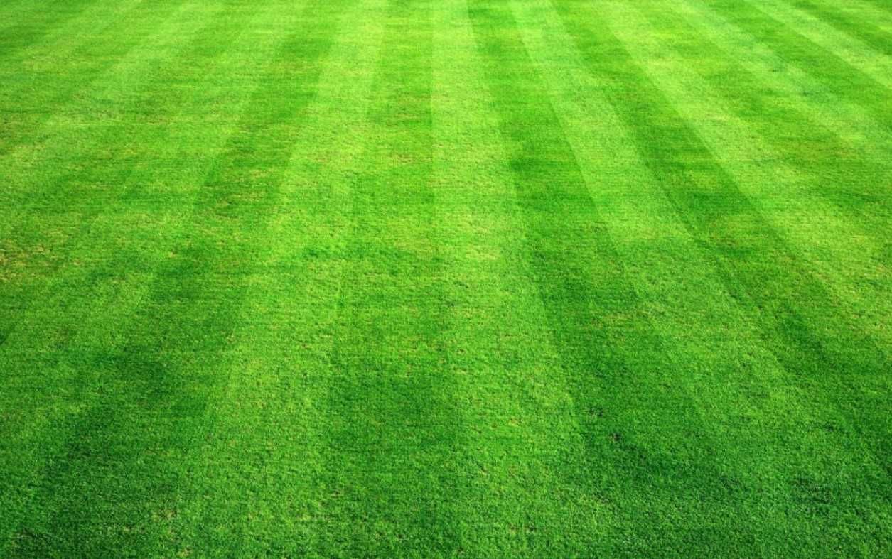Искусственный газон для футбольных полей. С первых рук. Склад