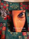 Gazda - Stephenie Meyer