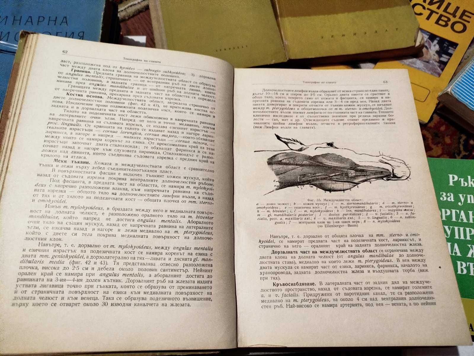 Ветеринарна медицина
